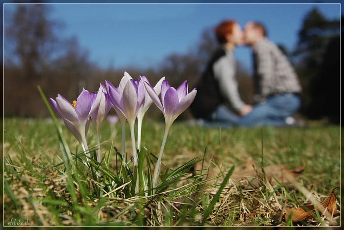 Spring Is the Time for Love!