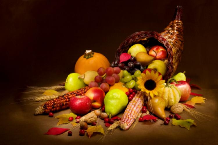 Thanksgiving – Time for Gifts and Care